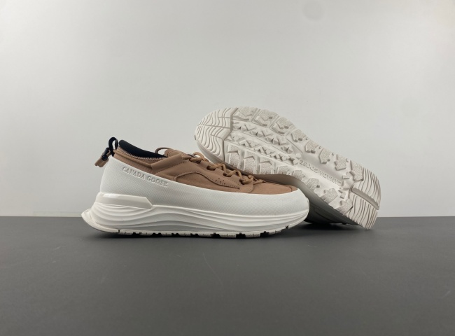 （Can*a Go*e）glacier trai. 7785m