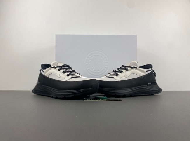 (Can*a Go*e)glacier trai. 7785m