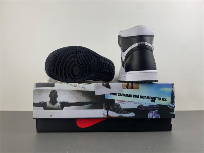 Fragment Design x Union x Air Jordan 1 II7282-100